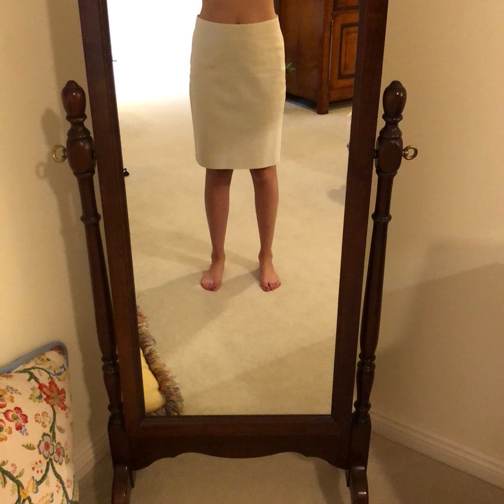 Knee Length J. Crew Skirt